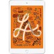 Tableta Apple iPad Mini 5, Retina 7.9inch, 256GB Flash, 3GB, 8 MP, Wi-Fi, Bluetooth, iOS, Argintiu